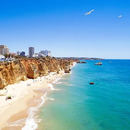 A21 - Da Rocha Step Portimão